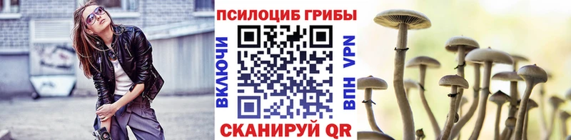 даркнет сайт  Малгобек  Галлюциногенные грибы Cubensis 