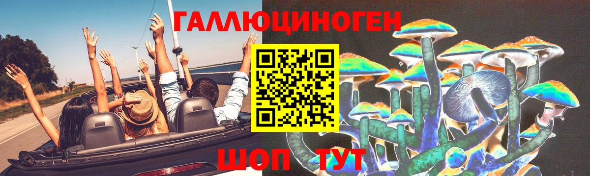 Малгобек  Псилоцибиновые грибы Psilocybe  Вход с VPN 