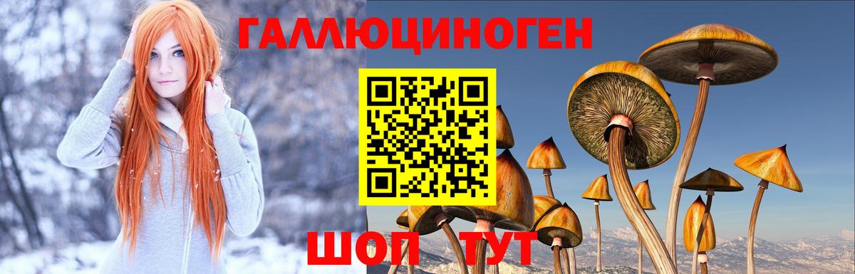 Галлюциногенные грибы MAGIC MUSHROOMS  Малгобек 